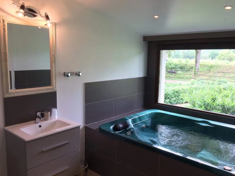 La Vinaigrerie  - Chambre avec Jacuzzi · thumbnail 4