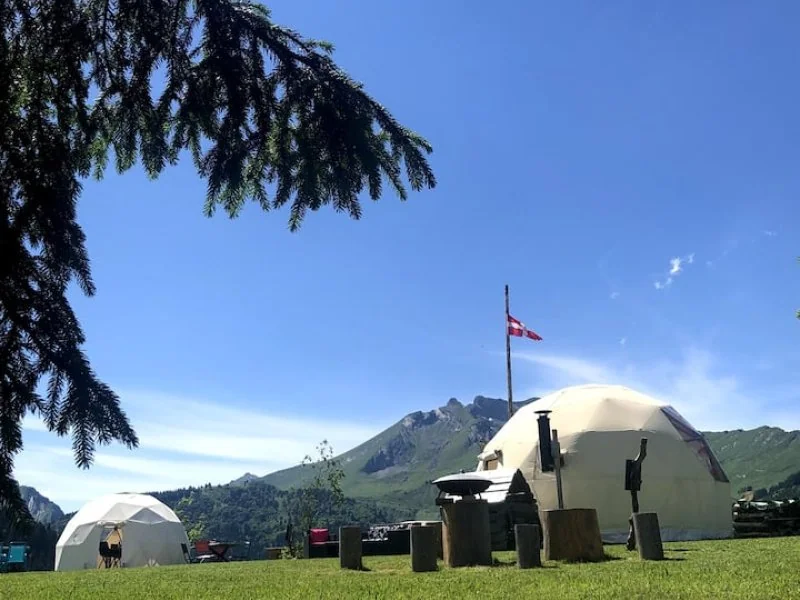 Chery Dome · thumbnail 3