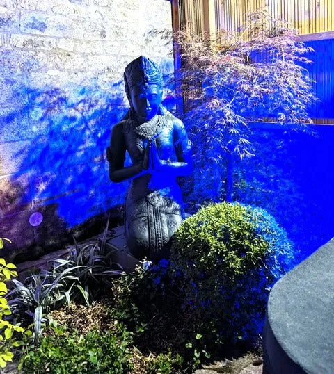 La Suite Samadhi - Bouddha Bleu · thumbnail 5