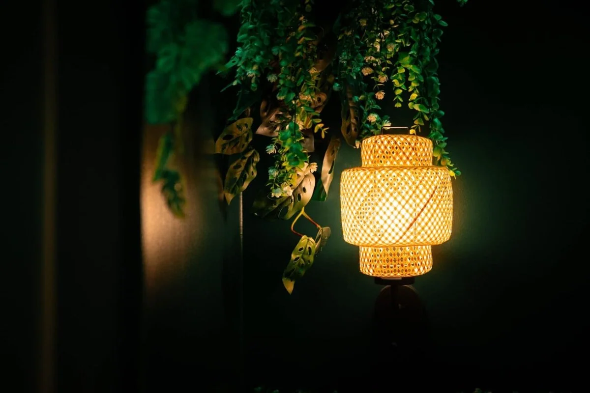 L'Oasis Tropicale · thumbnail 5