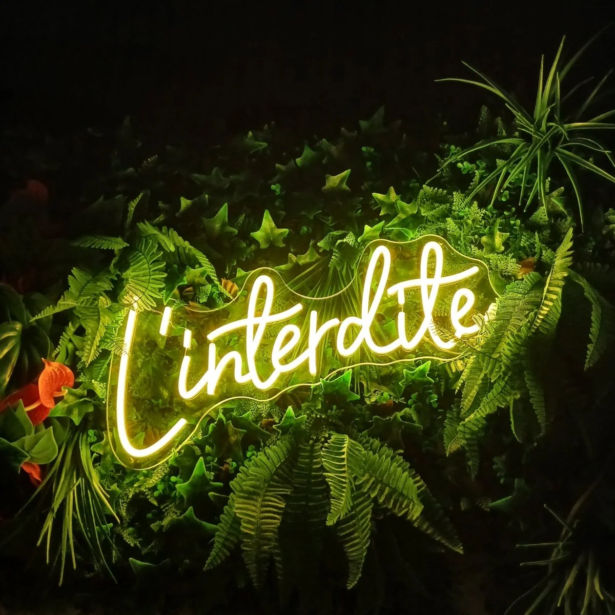 La Love Interdite · thumbnail 2