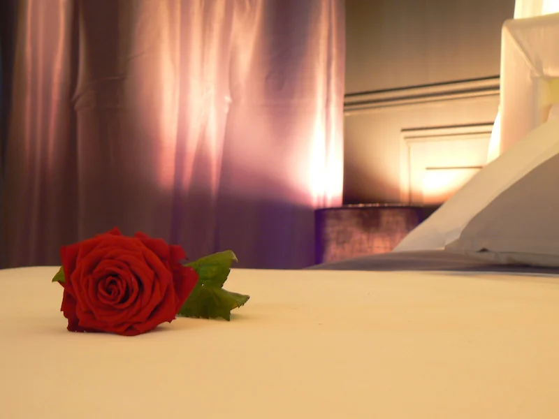 Le Cocon Enchenteur · thumbnail 3