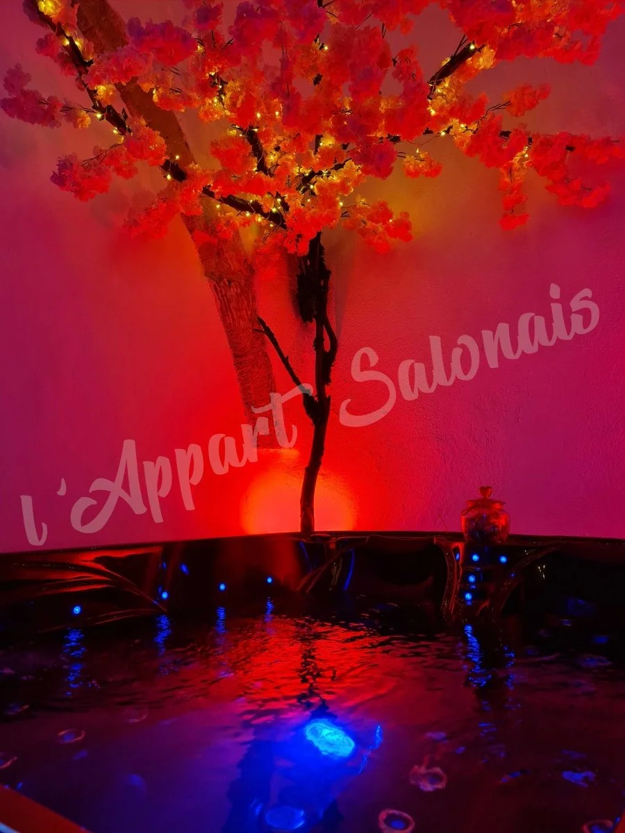 L’appart Salonais · thumbnail 2