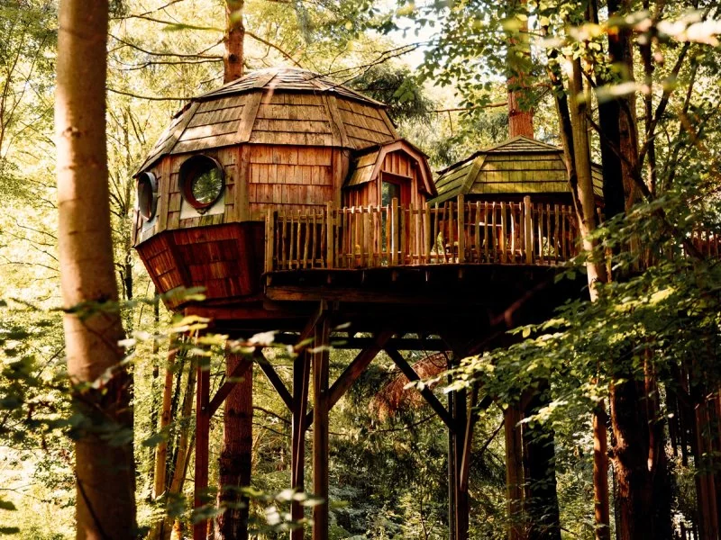 Cabane perchée - Les Grands Chênes · photo 1