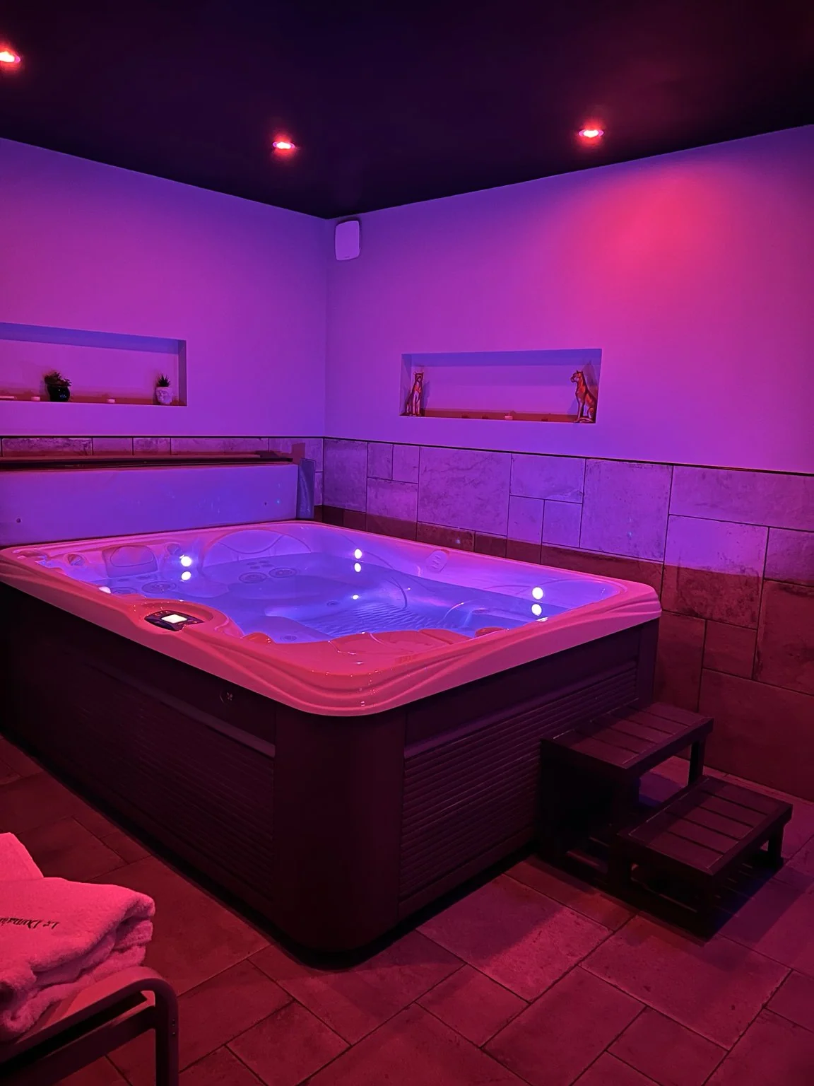 Chambre Cocooning avec jacuzzi privatif · photo 1